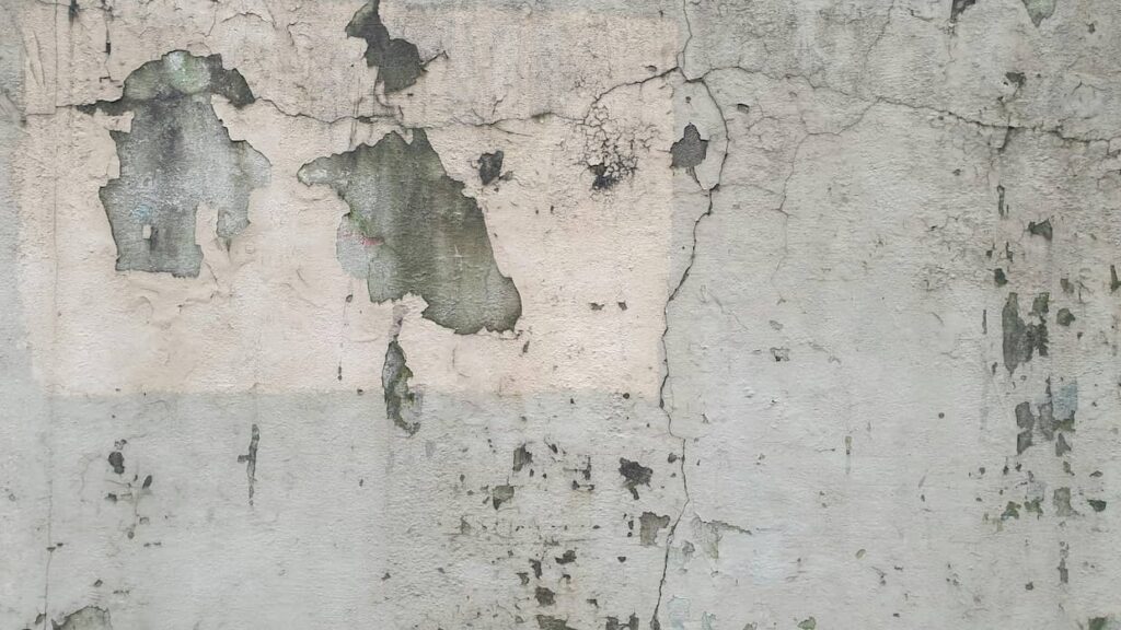 Übersicht aller Kosten für Fassadenanstrich durch Firma