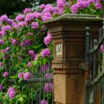 Den Garten gestalten und eine passende Umzäunung wählen